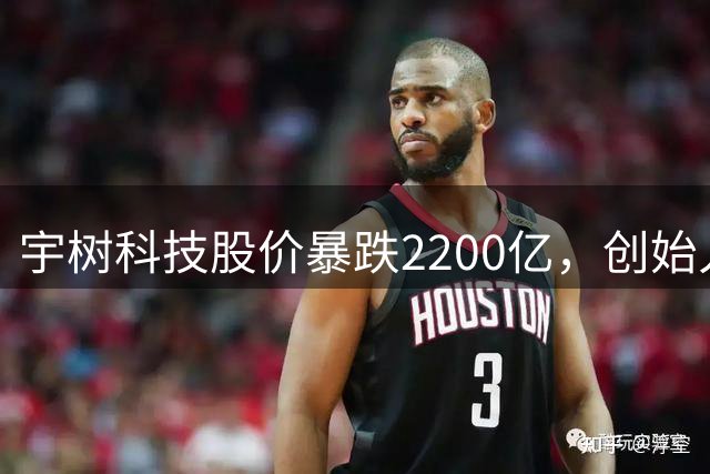 宇树科技股价暴跌2200亿，创始人呼吁理性投资