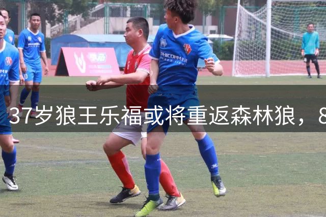 37岁狼王乐福或将重返森林狼，800万合约后寻求完美谢幕