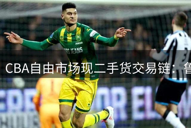 CBA自由市场现"二手货"交易链：鲁吉两队的逆向引援哲学